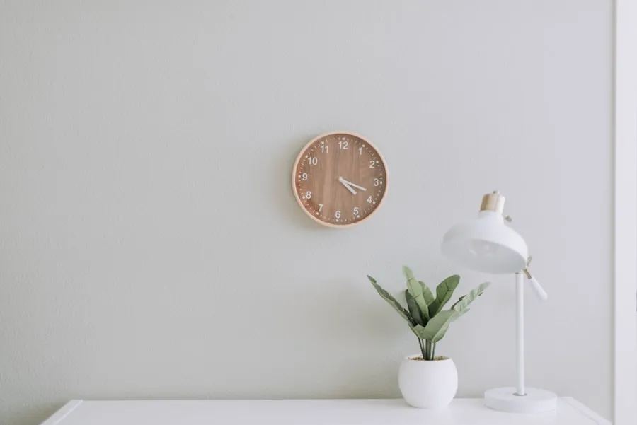 Échantillons de matériaux naturels posés sur un plan de travail